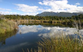 A wetland the Waiau Fisheries and Wildlife Habitat Enhancement Trust created on Eweburn Station.