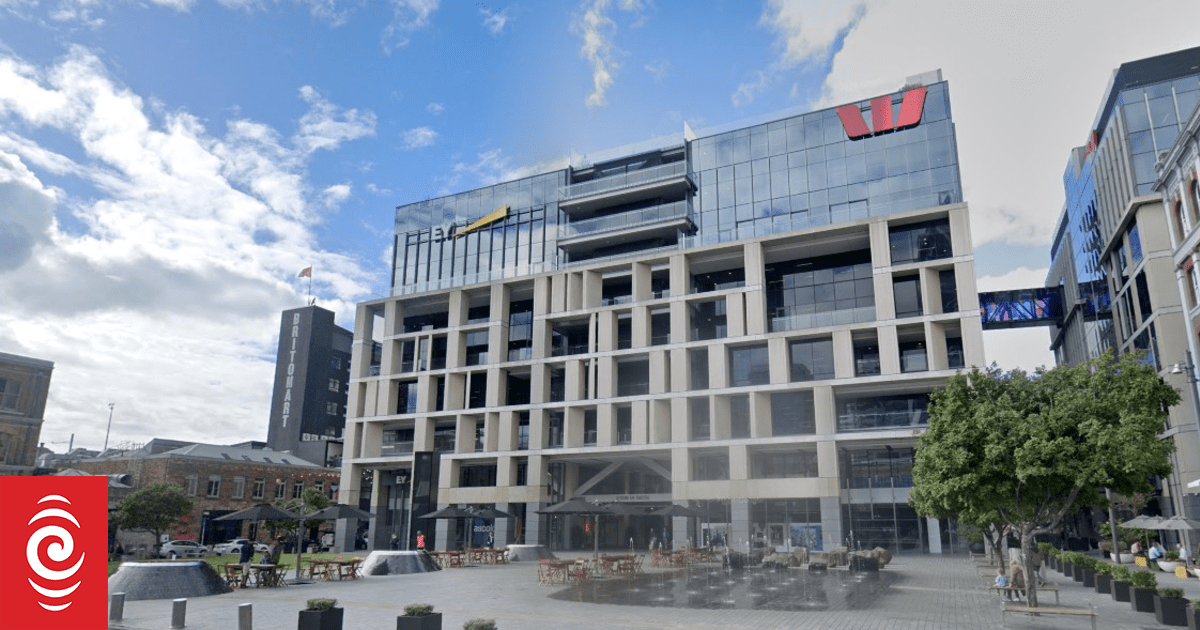 Wise Insurance loses financial advice provider licence over fake claims