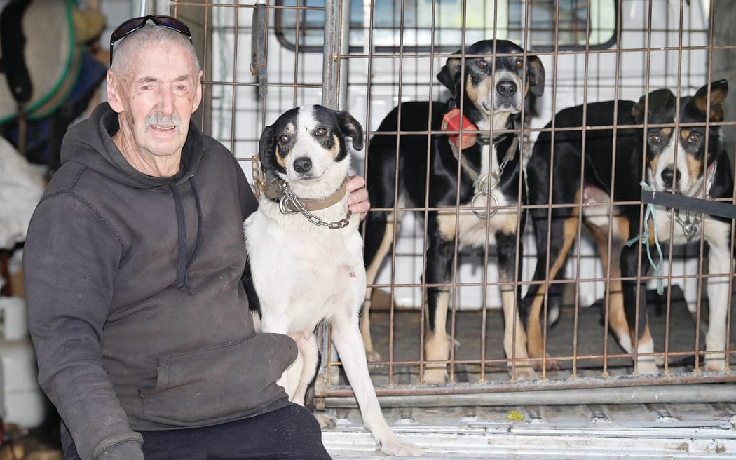 Pat Collins was the head of animal control at Gisborne District Council for over 20 years before retiring in 2012