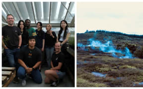 2 images -  first a man in glasses standing inside greenhouse with students beside small cultivated plants and second image is a steamy geothermal area with plants growing around.