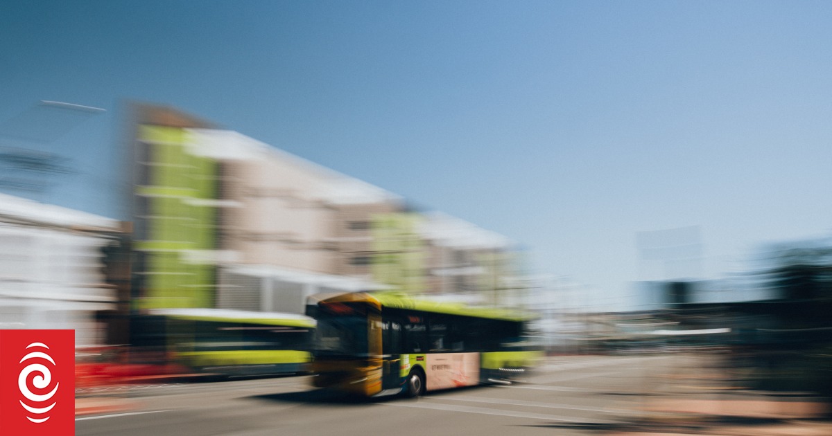 Cheap as chips! Queensland public transport slashed to 50 cents RNZ