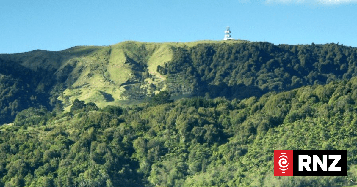Daring rescue in the heart of Kaimai Ranges honoured | RNZ