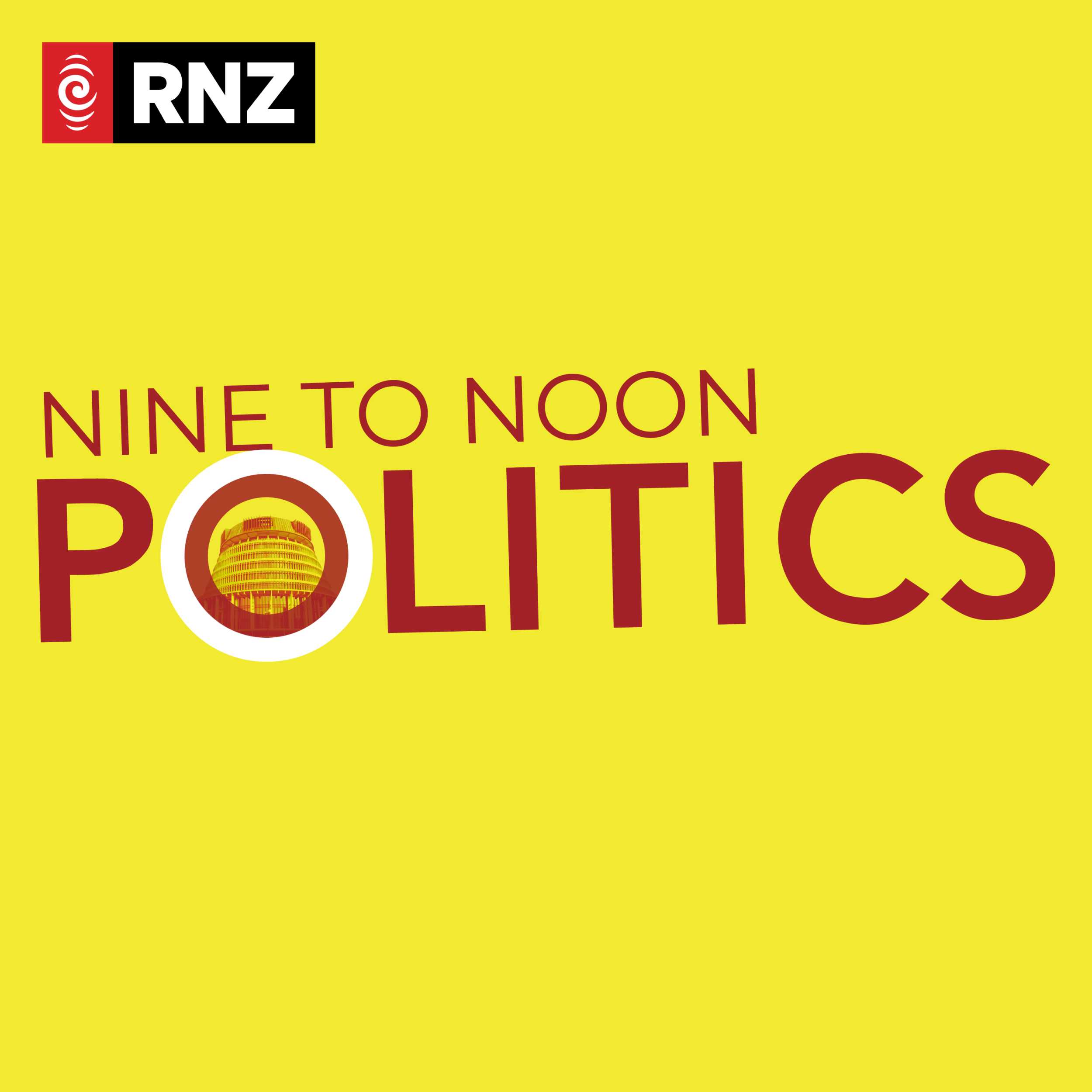 Nine To Noon Politics