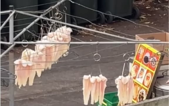 Fish hanging on clothesline in a shared backyard with 932 BBQ Noodle House in Mt Albert. The business has said the fish is not theirs.