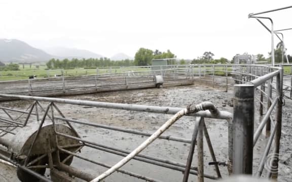 Dairy farmers in Kaikoura battle to save livelihoods