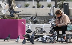 A woman feeds pigeons on November 6, 2020 in Palavas-les-Flots, near Montpellier, southern France, during the national lockdown aimed at containing the spread of Covid-19, caused by the novel coronavirus.