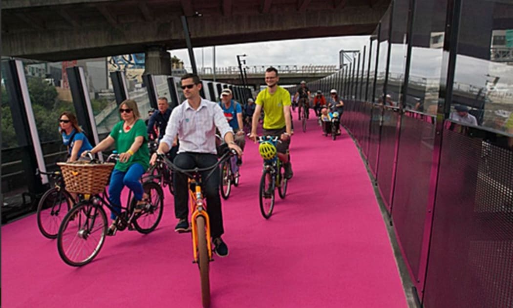Auckland's popular $15 million dollar pink-paved bike path needs resurfacing a year after it opened.