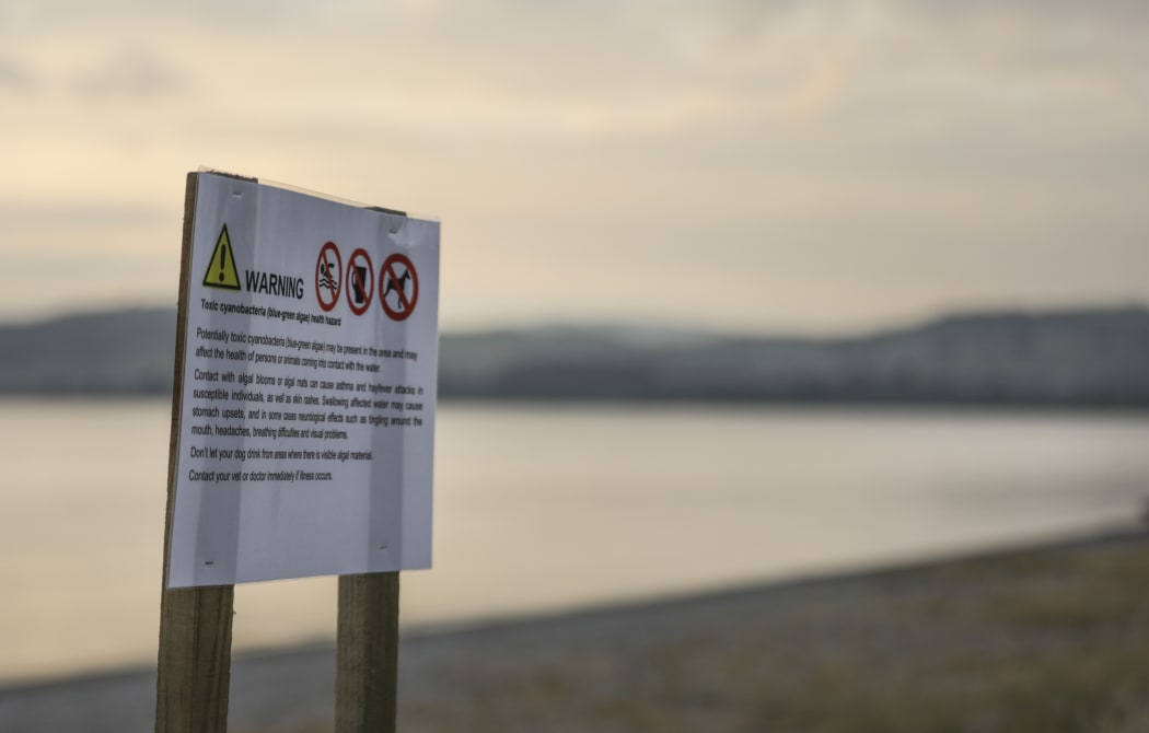 A sign warning of algal bloom in Lake Taupo