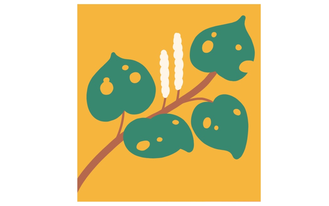 Stylised illustration of Kawakawa leaves