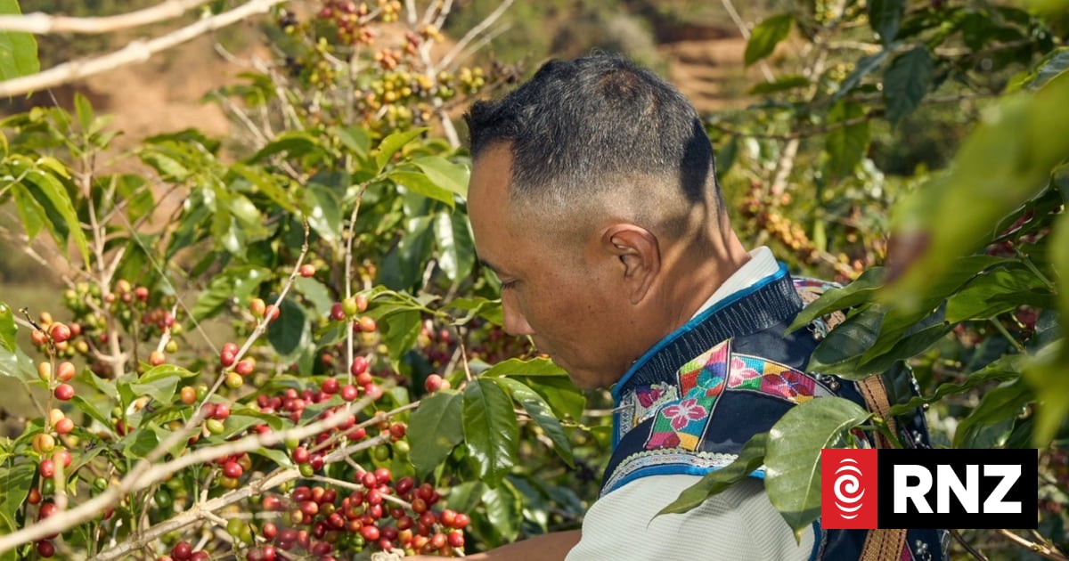 Here Now: China’s booming coffee scene is challenging Kiwi ideas about the perfect brew
