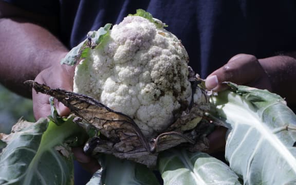 Cauliflower