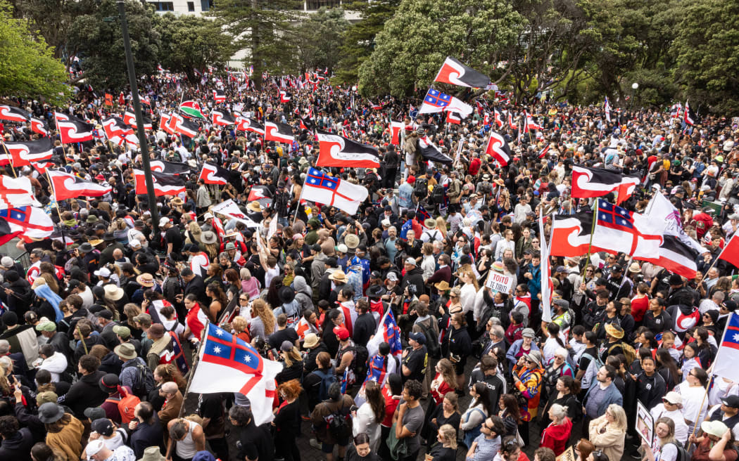 The hikoi against the Principles of the Treaty of Waitangi Bill reaches Parliament.