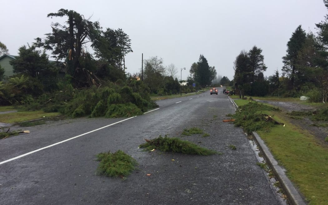 Trees downed by a tornado in National Park Village.