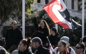 Hundreds have gathered outside Parliament on 5 August 2024 to protest against the government repealing Section 7AA of the Oranga Tamariki Act.