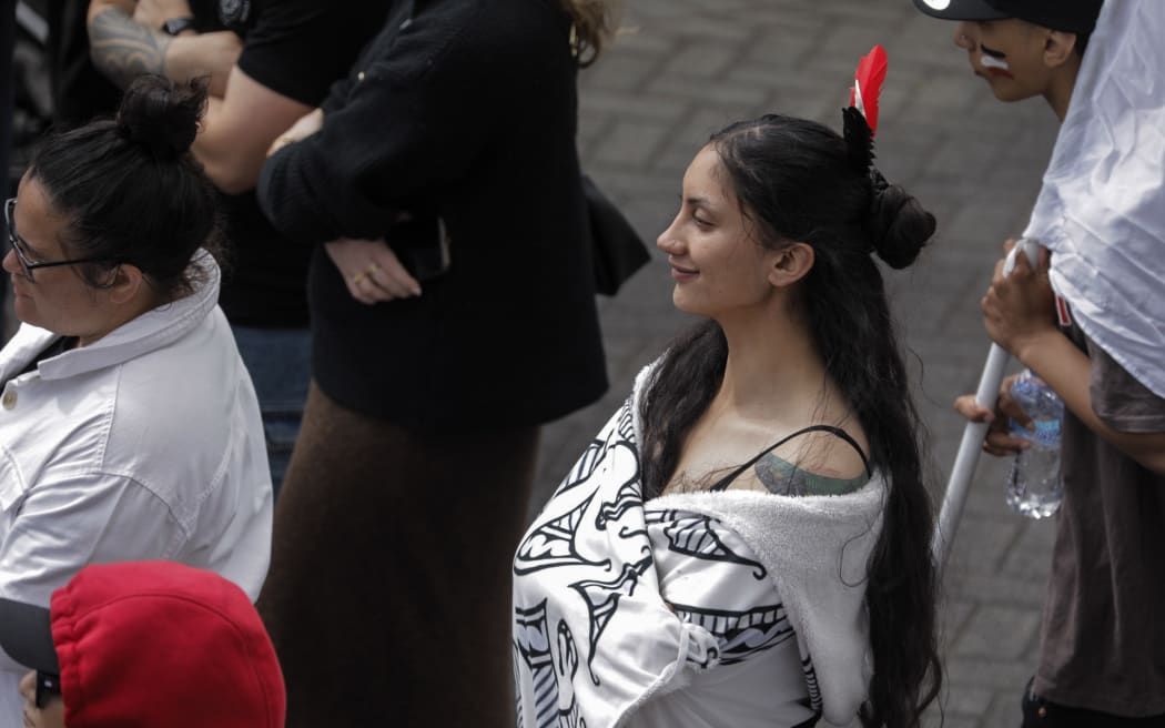 Hikoi at parliament