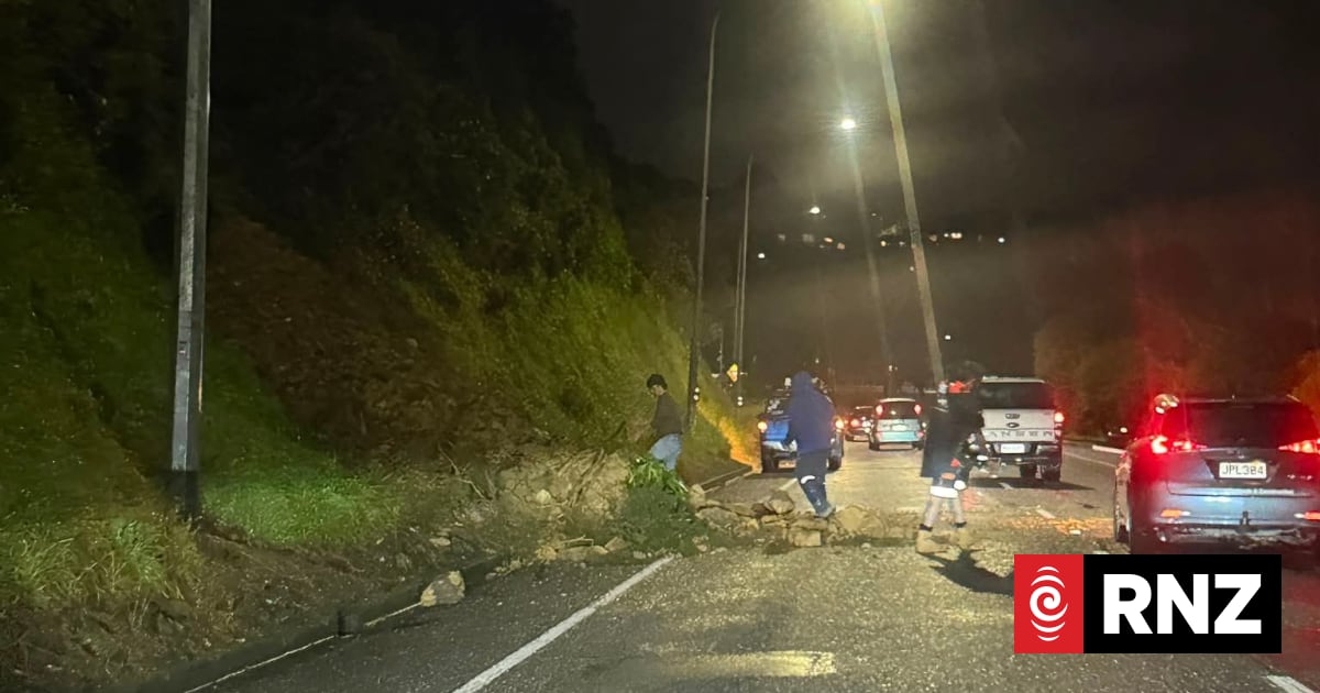 Driver hit 'good sized rock' as slip came down in darkness