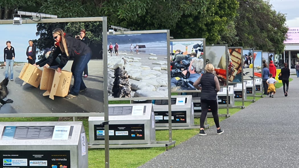 The exhibition at Coronation Park, Mount Maunganui