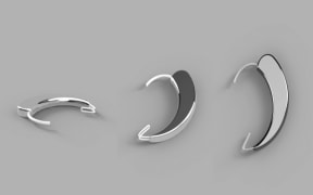 Canaria earpieces (Facebook)