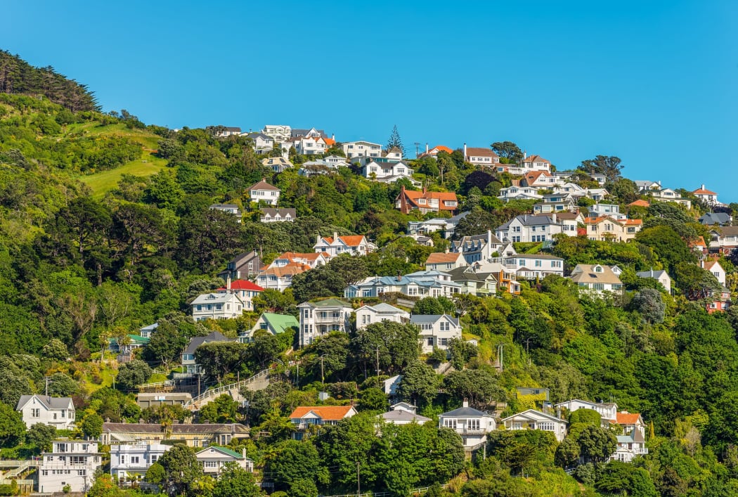 Wellington houses.