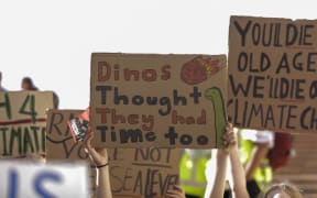 Wellington climate protest