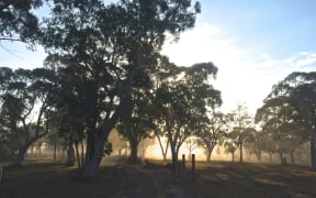 Kangaroo Valley