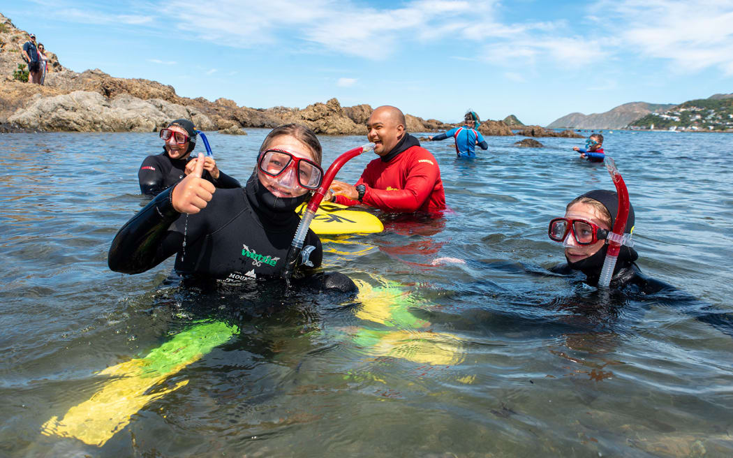 Mountain To Seas Wellington snorkelling programme