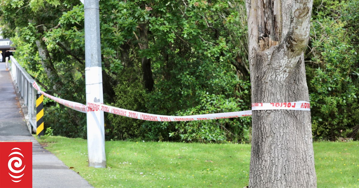 Auckland man taken to hospital with serious injuries, police trying to find offender