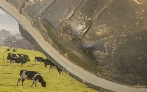 A close-up picture of Chris Wilson's gumboot which was damaged by lightning with the farm in the background.