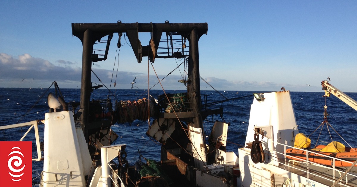 Maritime NZ case: Sealord and skipper fined over fatal medical neglect at sea