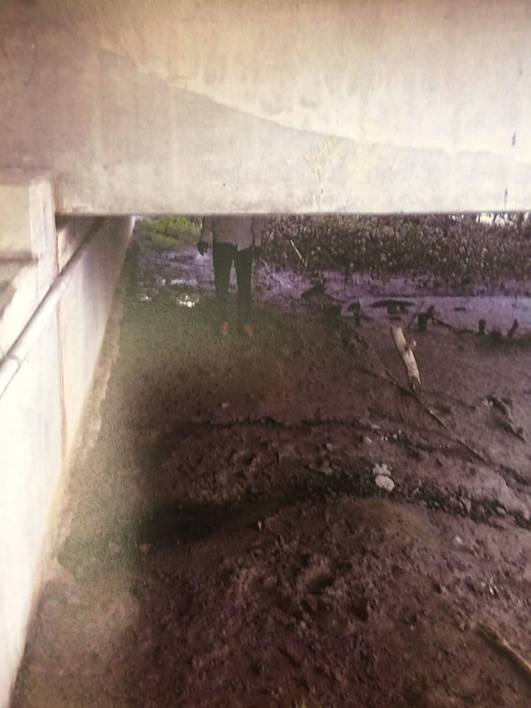 Reddy stands on the spot under Takapuna's motorway overbridge where he buried the bodies of Pakeeza Yousef and her three-year-old daughter, Jojo