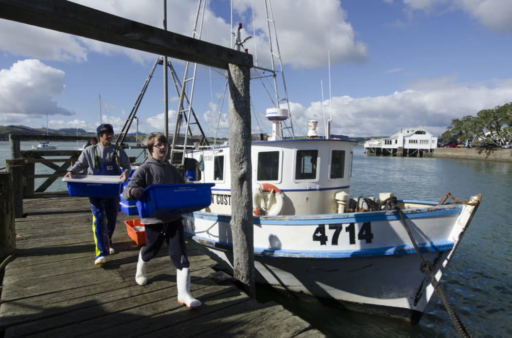 An email sent by an MPI manager suggests that if fish dumping could be stopped "we would probably put half of the inshore fleet out of business overnight ..."