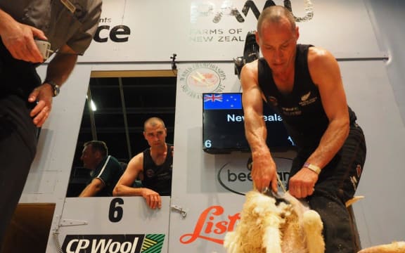 John Kirkpatrick shearing in the individual machine shearing final