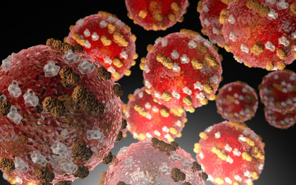 The measles virus, the US CDC says measles is very contagious and can be serious, and anyone who is not protected against the virus is at risk.