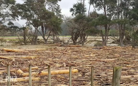 'Forestry sector facing leaky building moment' after Tolaga flooding