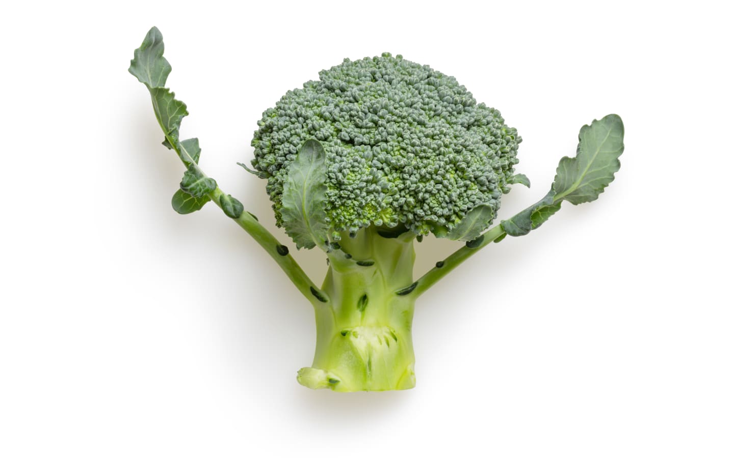 broccoli