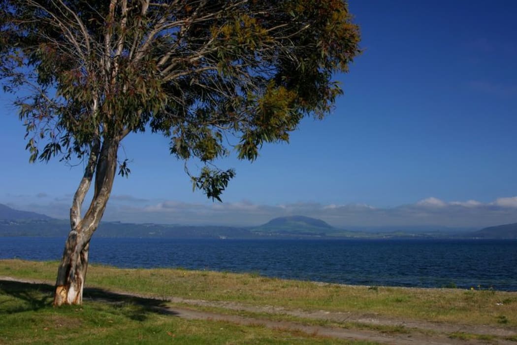 Lake Taupo
