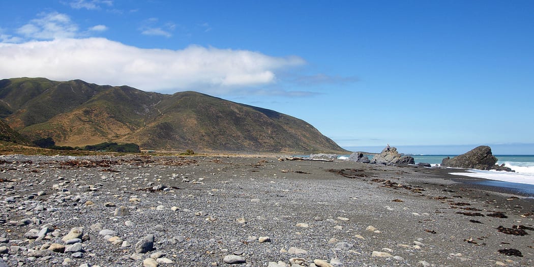 Turakirae Head