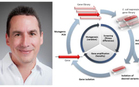 Professor David Ackerley is an expert in engineering enzymes and directed evolution