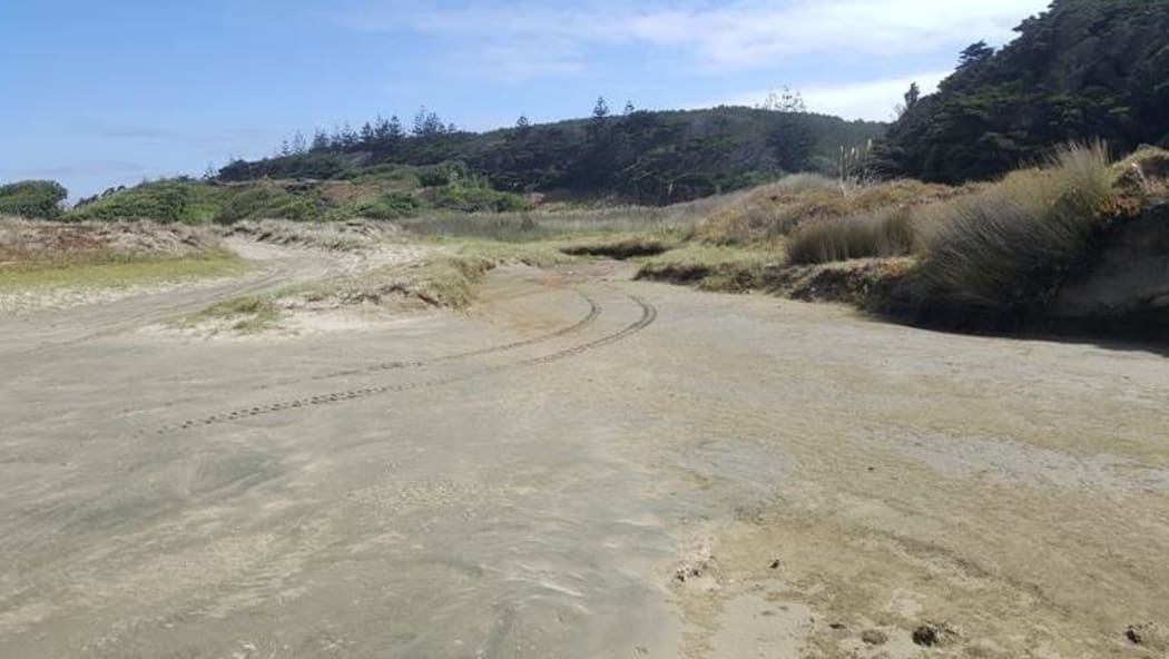 Karaka Stream, dry.