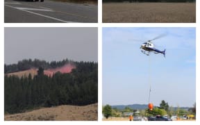 Tasman fire composite