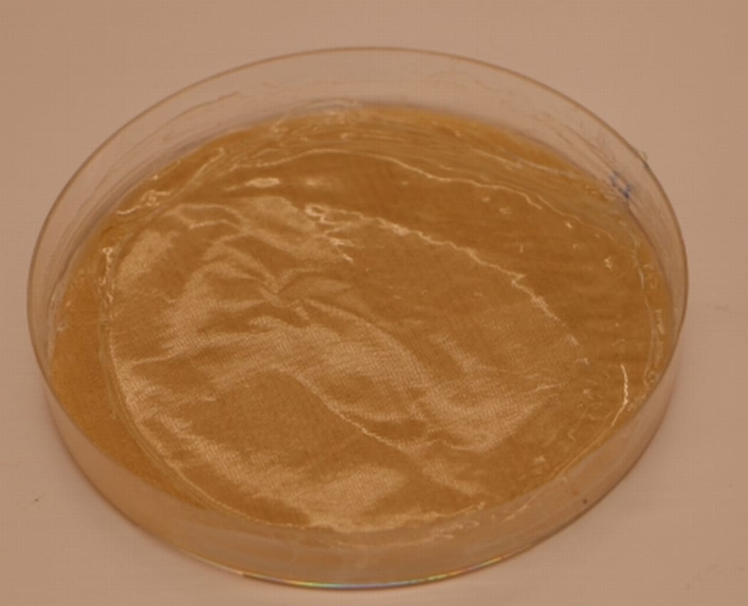 An image of the dried "film", ready for use in packaging or storage. The film is circular and roughly the size of a saucer. It is a light tea colour and the thickness of a sheet of paper.