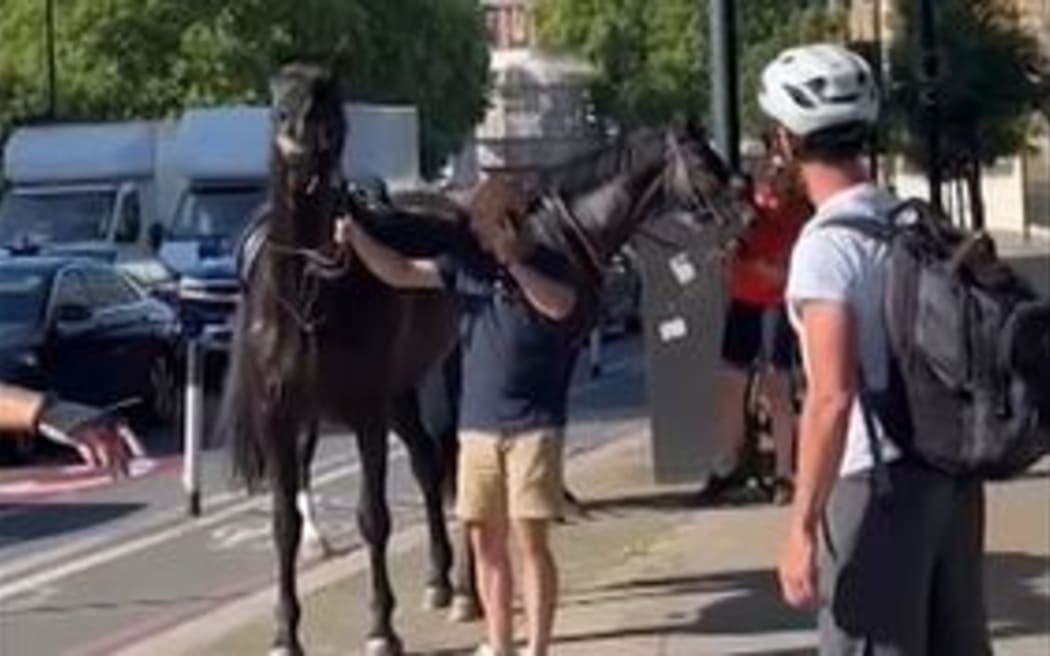 Two of the horses were caught on Vauxhall Bridge.