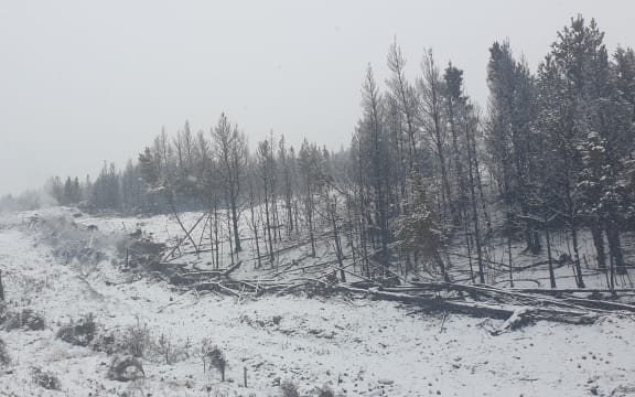 Snow in the Mackenzie country after the large fire near Twizel.