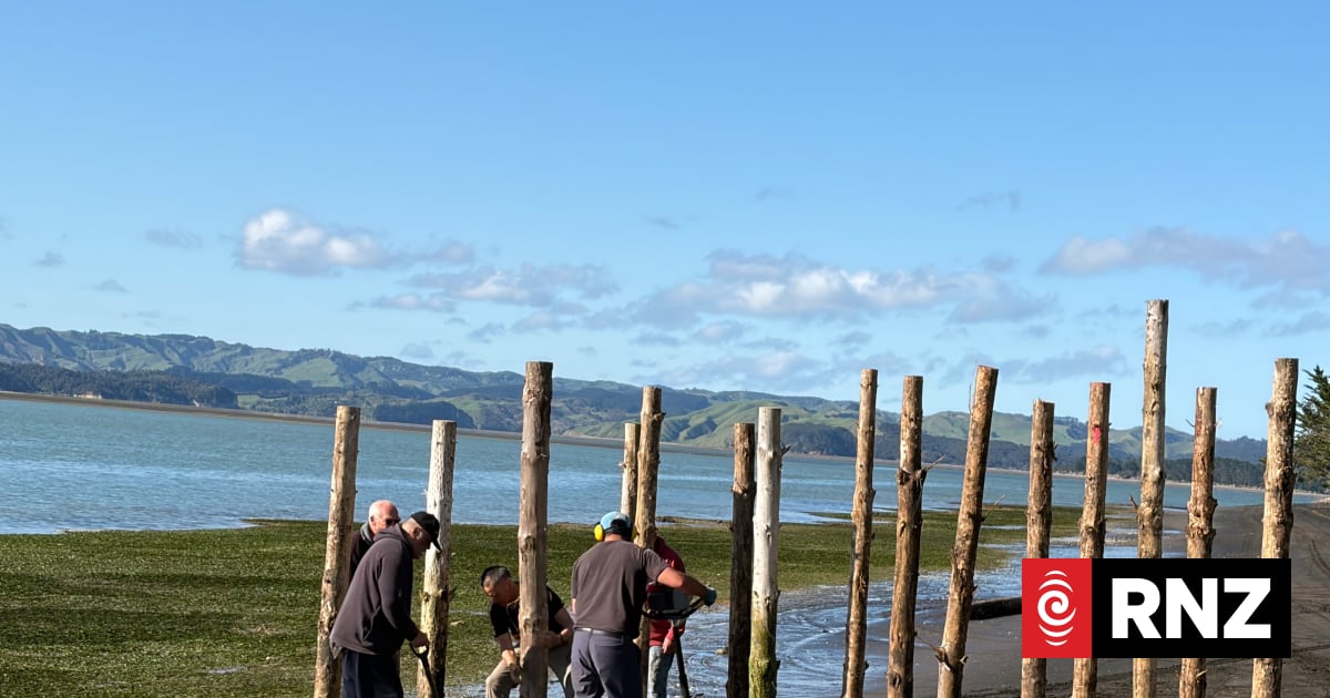 'Responsibility to protect': Kāwhia trust blocks vehicle access to beach