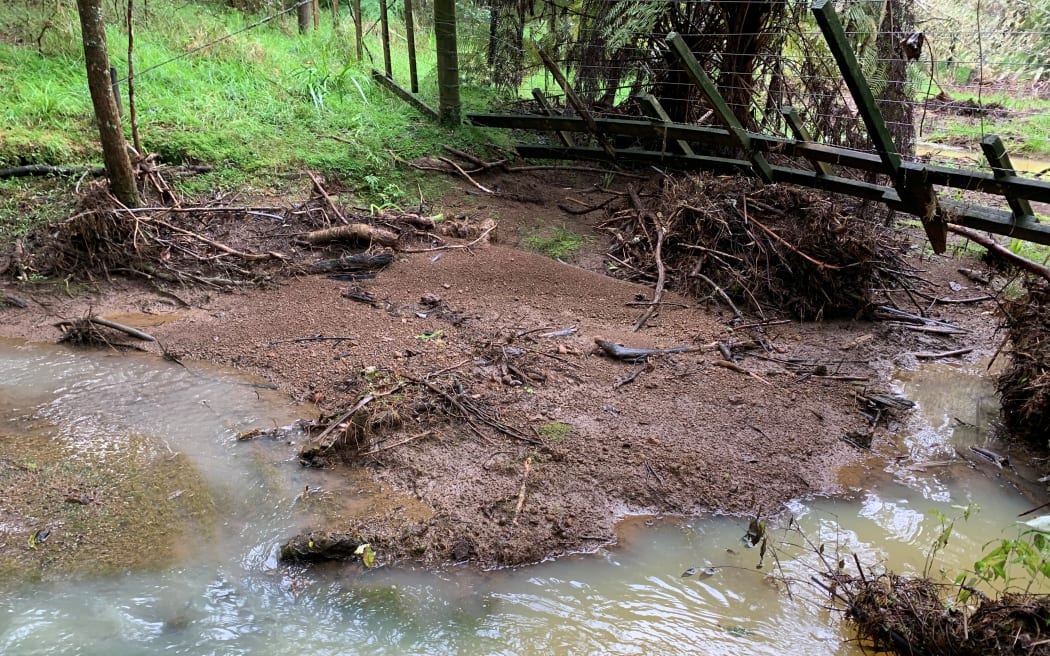 Sediment-laden water gushes through Shayne Tobin's property near Kaikohe in Northland. Note the contrast between the colour of the stream and water running off land re-planted with native trees (foreground).