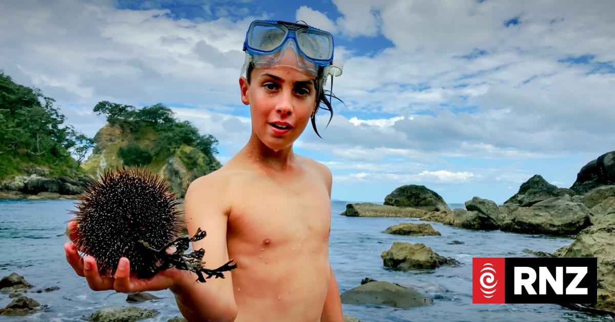 Kids Unplugged struck a nerve at our dinner table