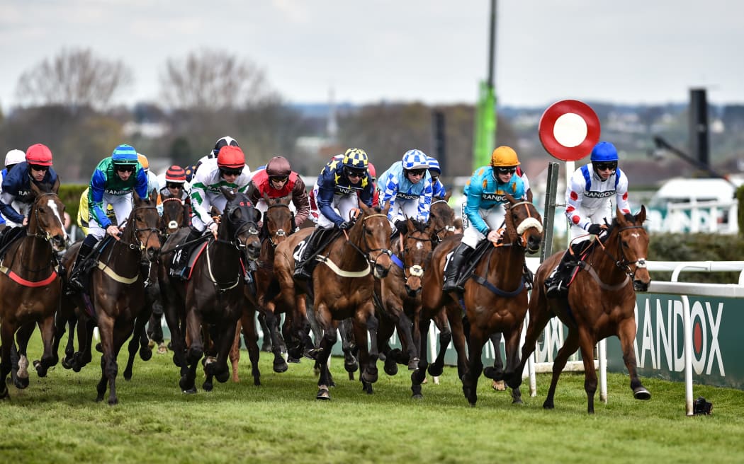 Trainer blames Grand National activists for horse's death RNZ News