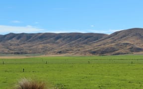 Irrigation in the Mackenzie Basin.