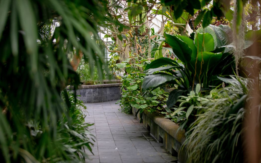 New fundings for The Begonia House