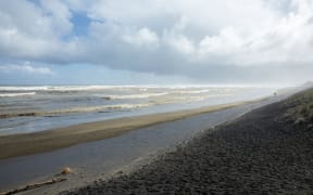 Muriwai Beach